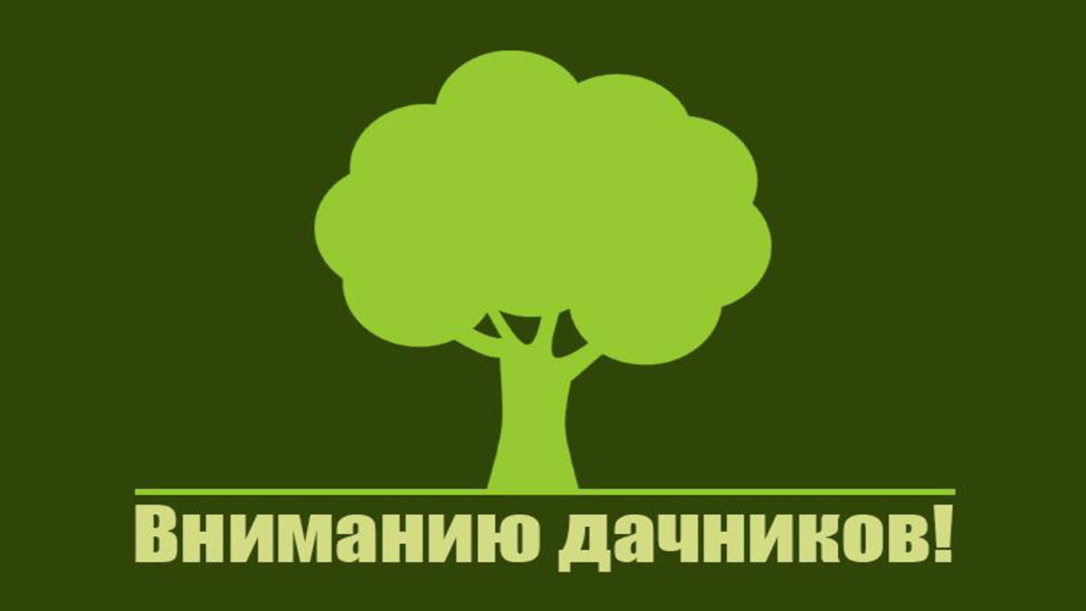 Информация от земельного отдела